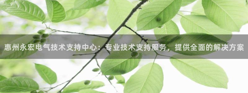 凯发注册平台安卓版下载：惠州永宏电气技术支持中心：